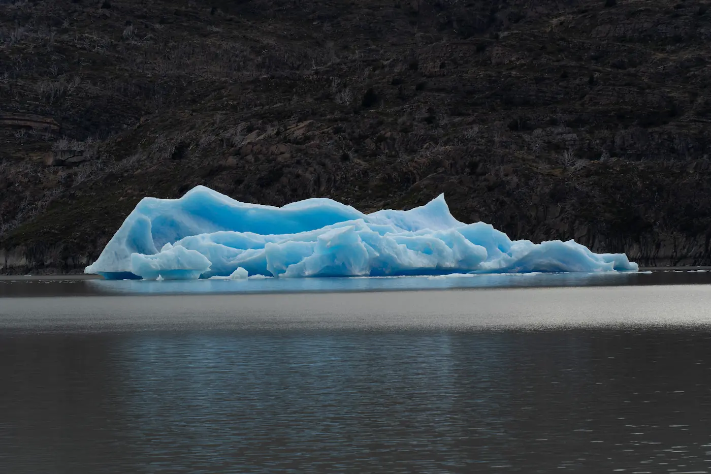 Navegación Glaciar Grey